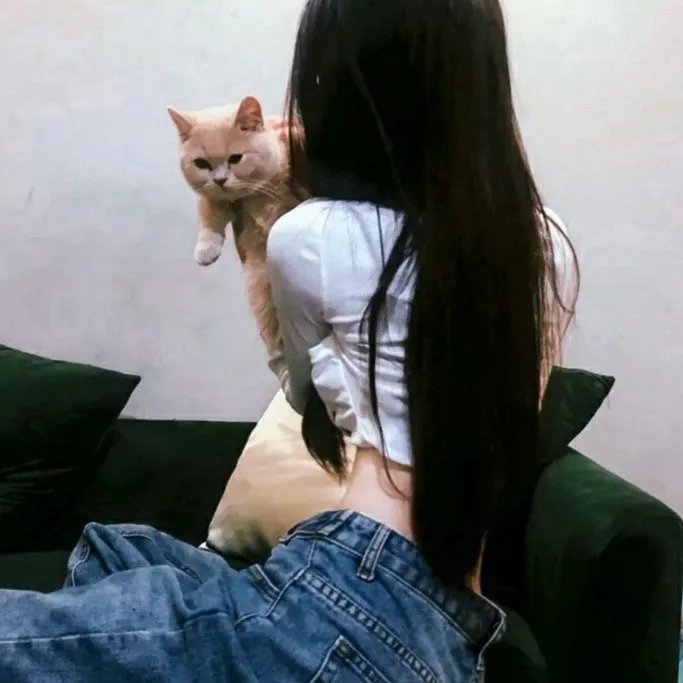 嫁我吧,哥们