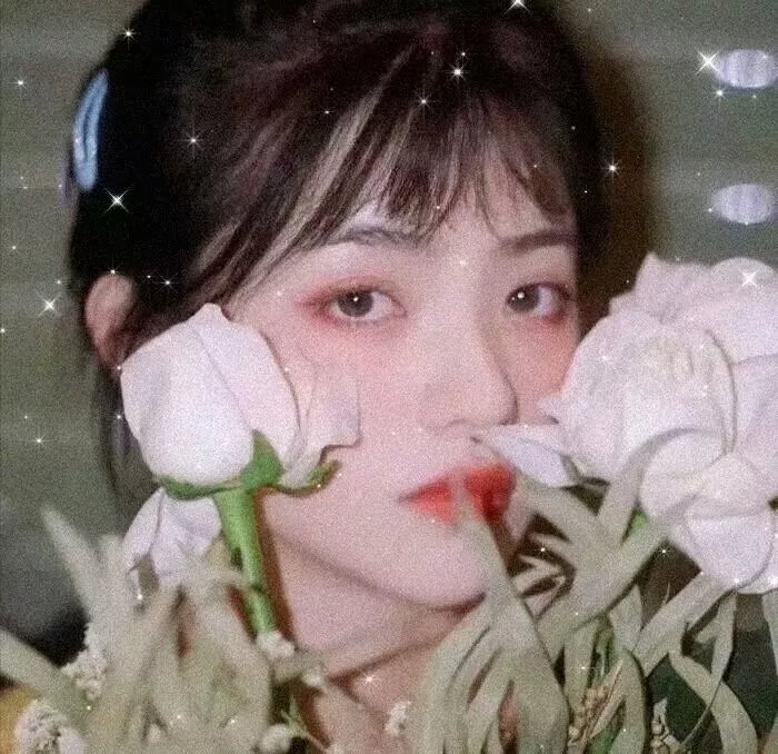 梦幻的歌舞